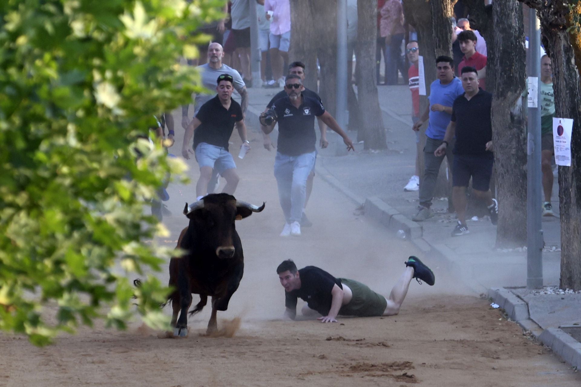 Herido en el encierro del toro de cajón en Serrada.