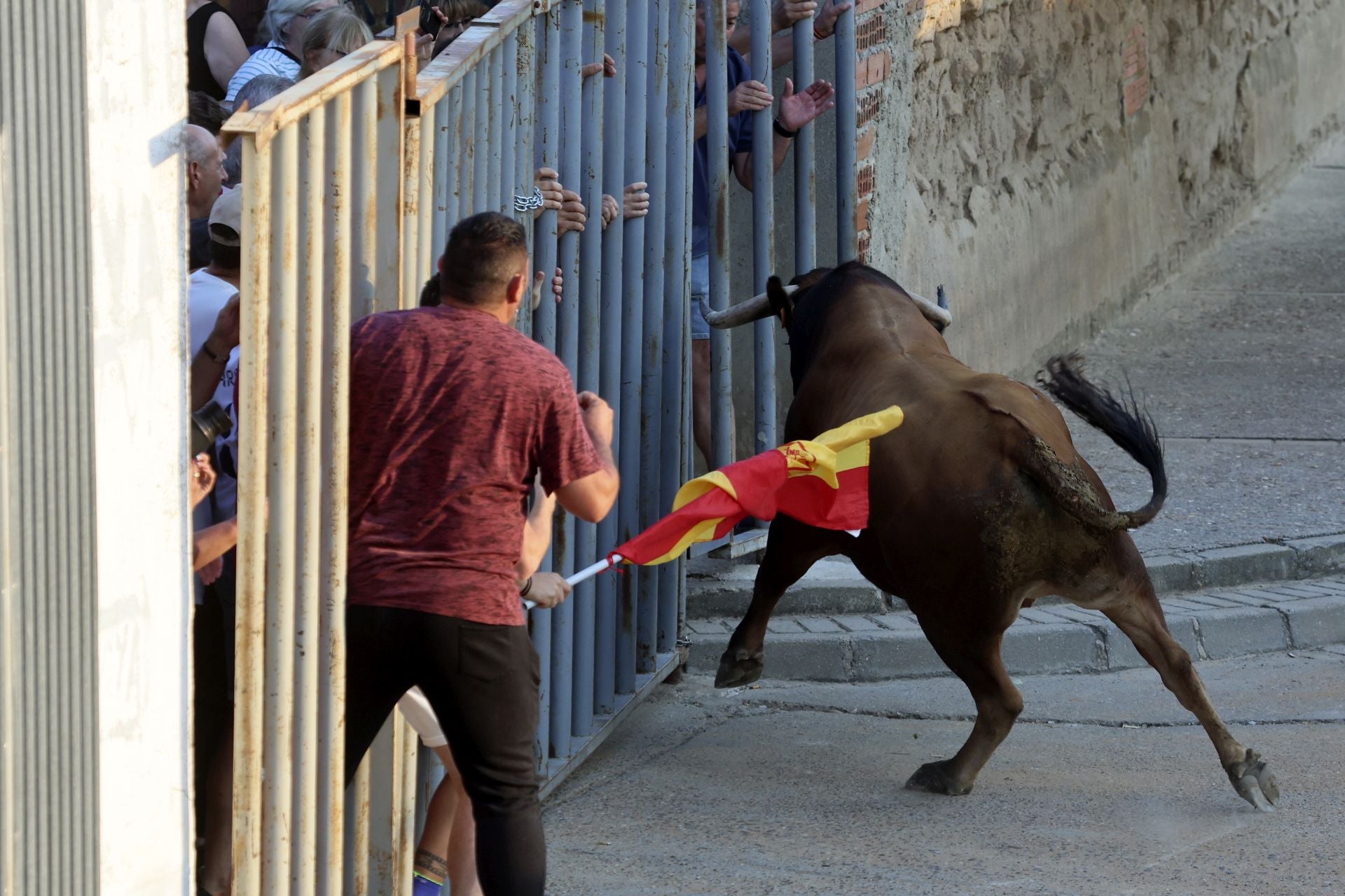 El encierro del toro de cajón en Serrada.