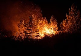Incendio declarado en Argayo (León).
