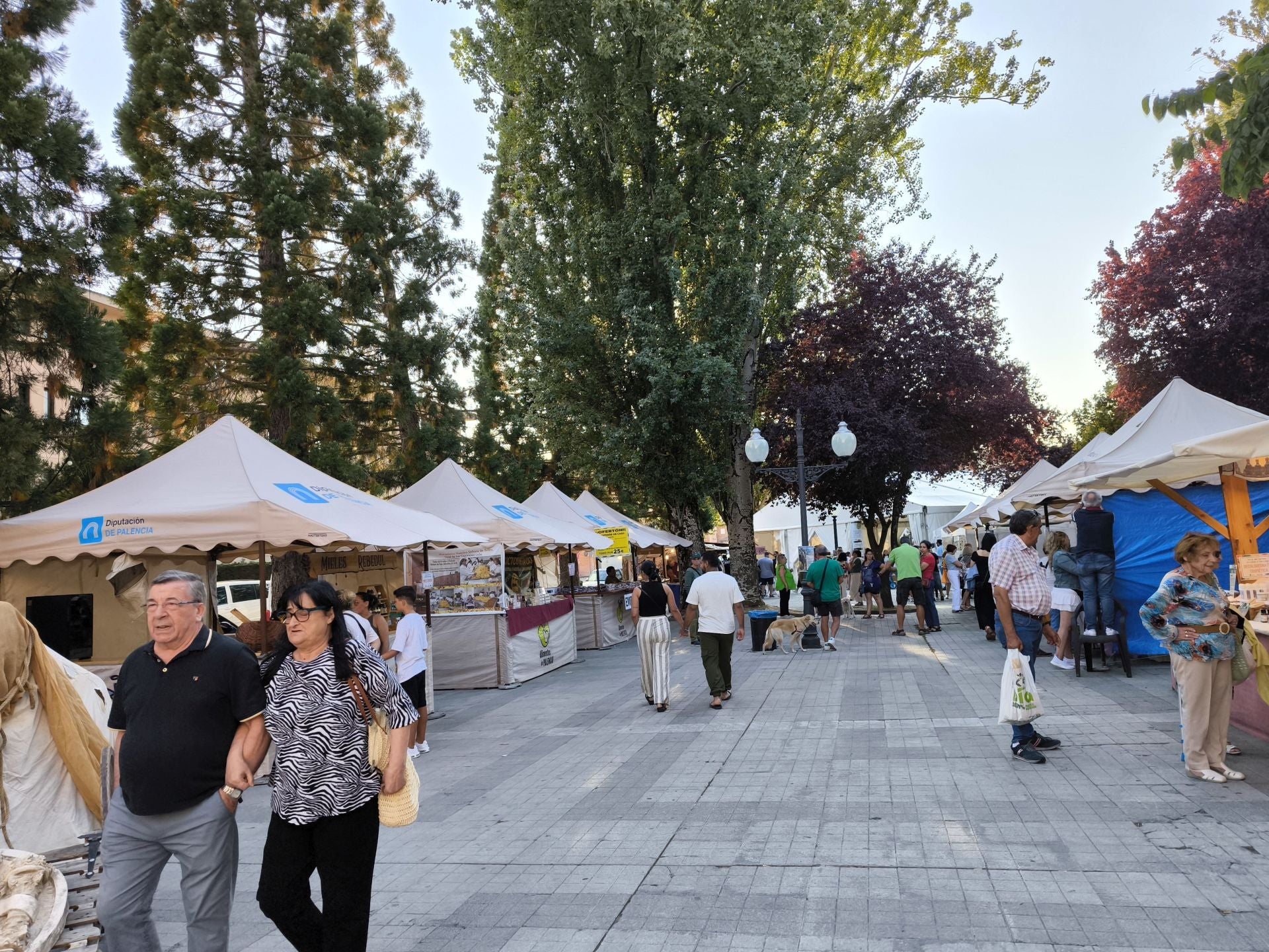 Guardo celebra la Feria del Camino Olvidado
