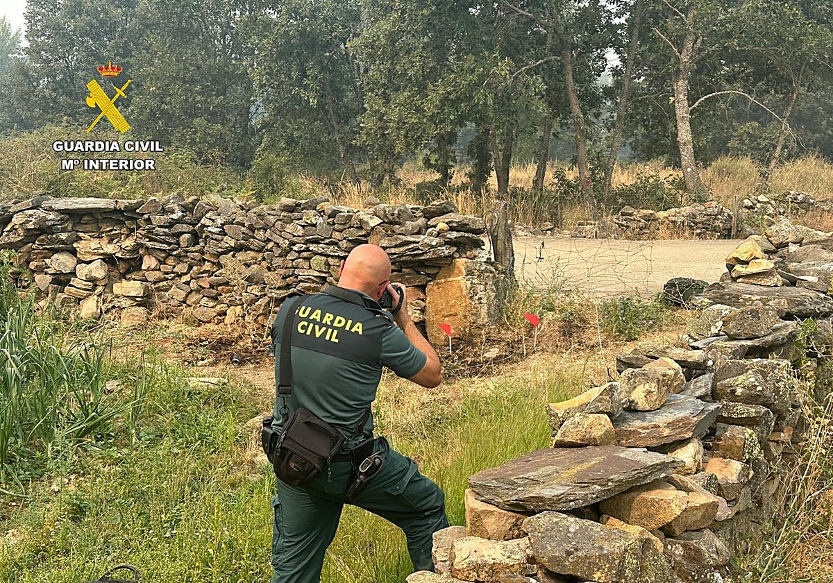La Guardia Civil investiga el origen de uno de los incendios que están arrasado Castilla y León este verano.