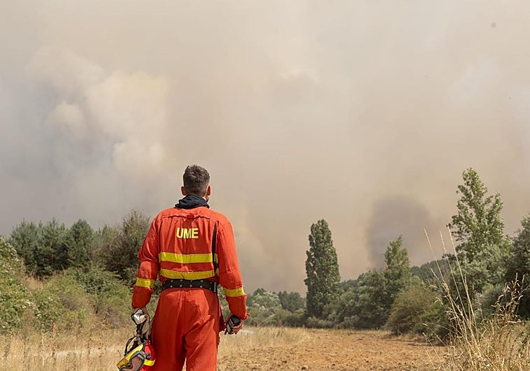 Personal de la UME en las labores de extinción de incendios este verano en la provincia de León.