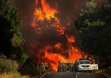 141.000 hectáreas han ardido ya en los incendios que devastan Castilla y León