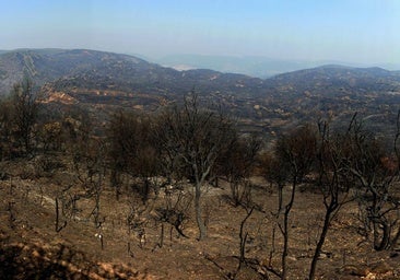 Estas son las 54 nuevas localidades incluidas en el listado de afectadas por grandes incendios