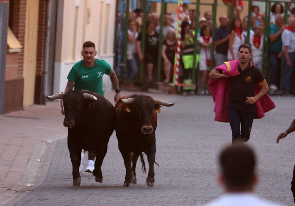 Las imágenes del encierro en Pedrajas de San Esteban