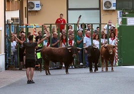 Un momento del encierro por las calles del municipio.