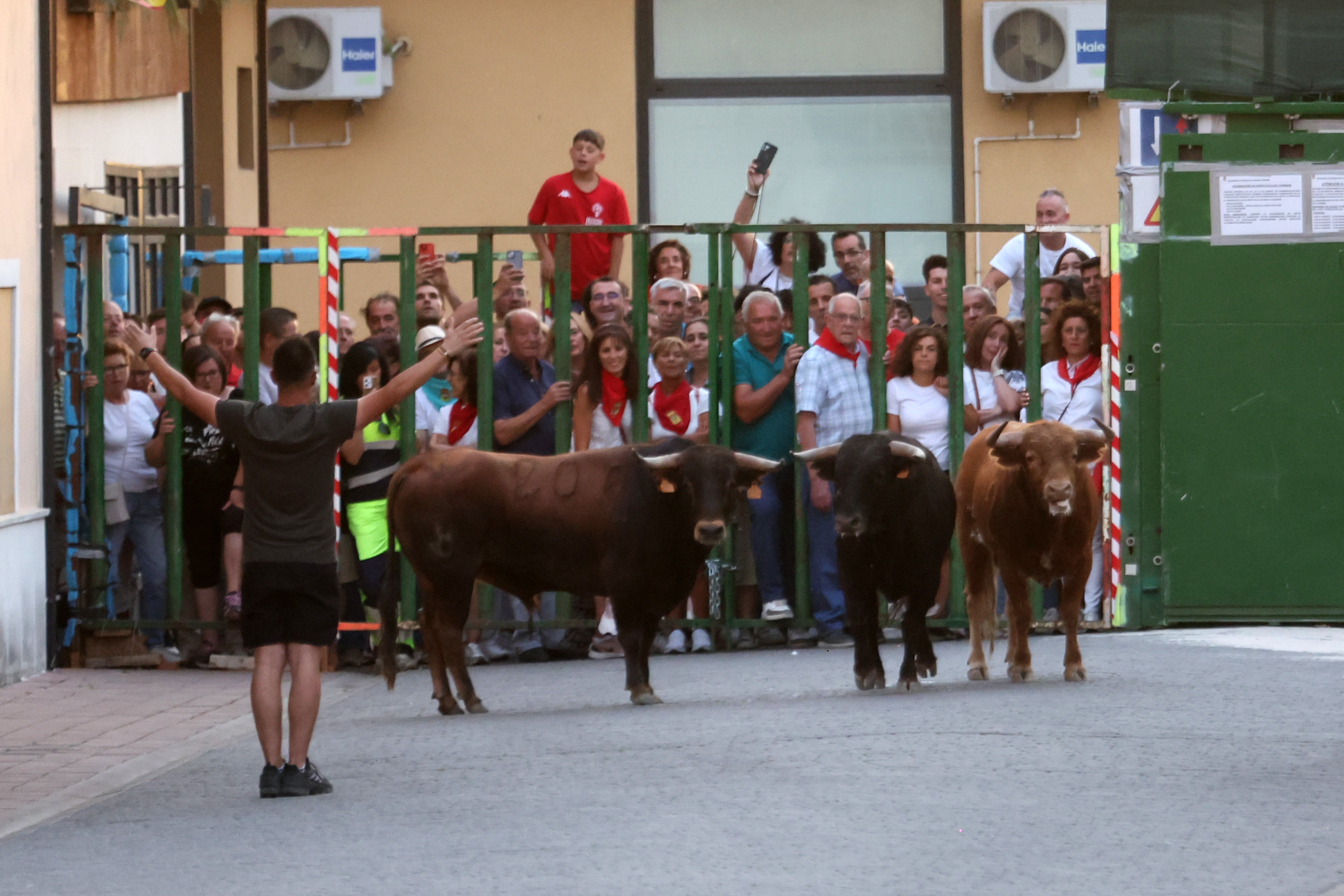 Un momento del encierro por las calles del municipio.