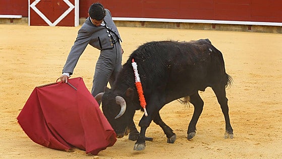 Herederos para las grandes figuras del toreo