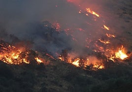 Incendio en Peña Carazo, junto a la Abadía de Lebanza.