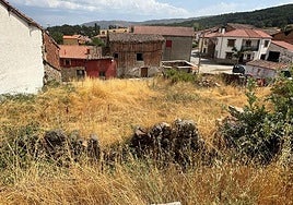 Estado de uno de los solares que motivaron una queja ante el Procurador del Común.