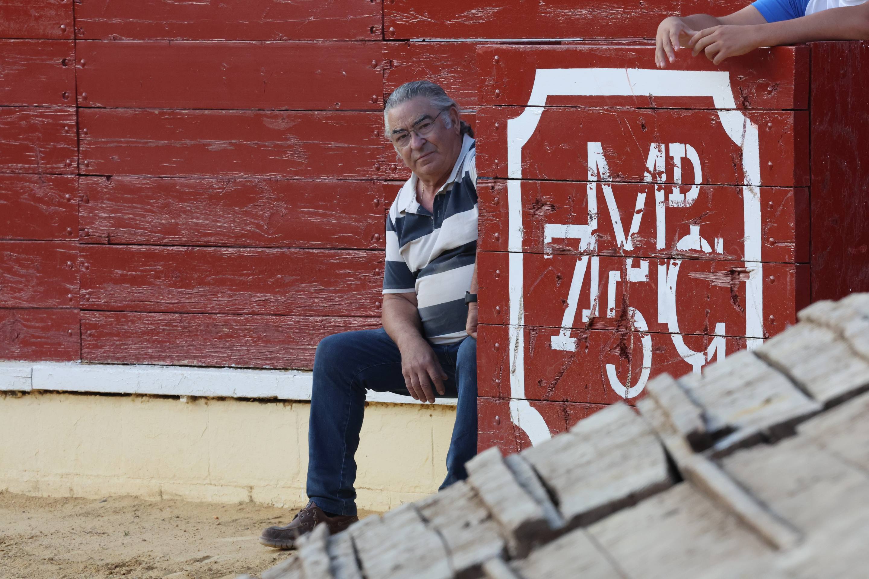 El encierro de bueyes y el desenjaule de novillos de Medina del Campo, en imágenes