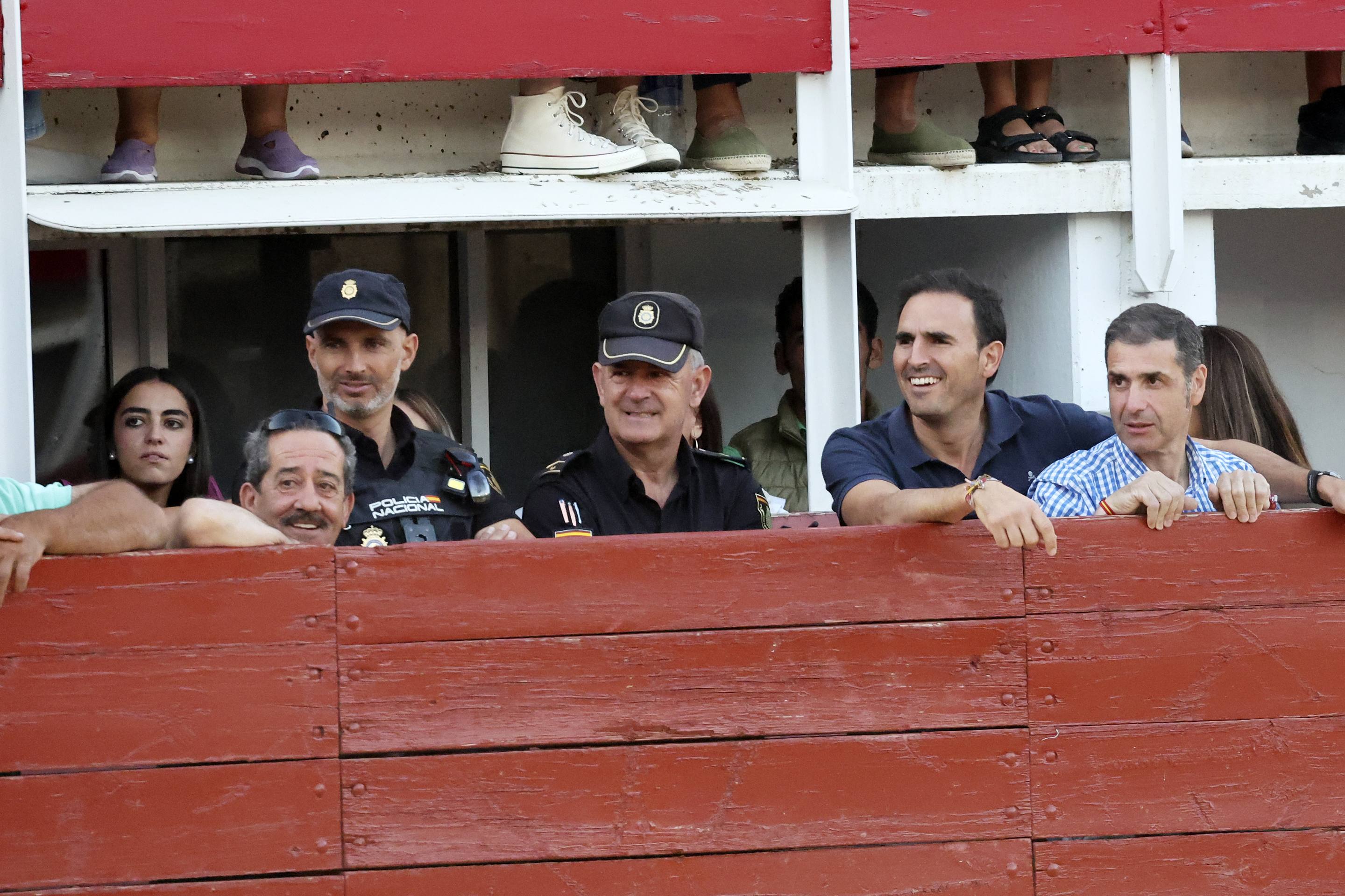 El encierro de bueyes y el desenjaule de novillos de Medina del Campo, en imágenes