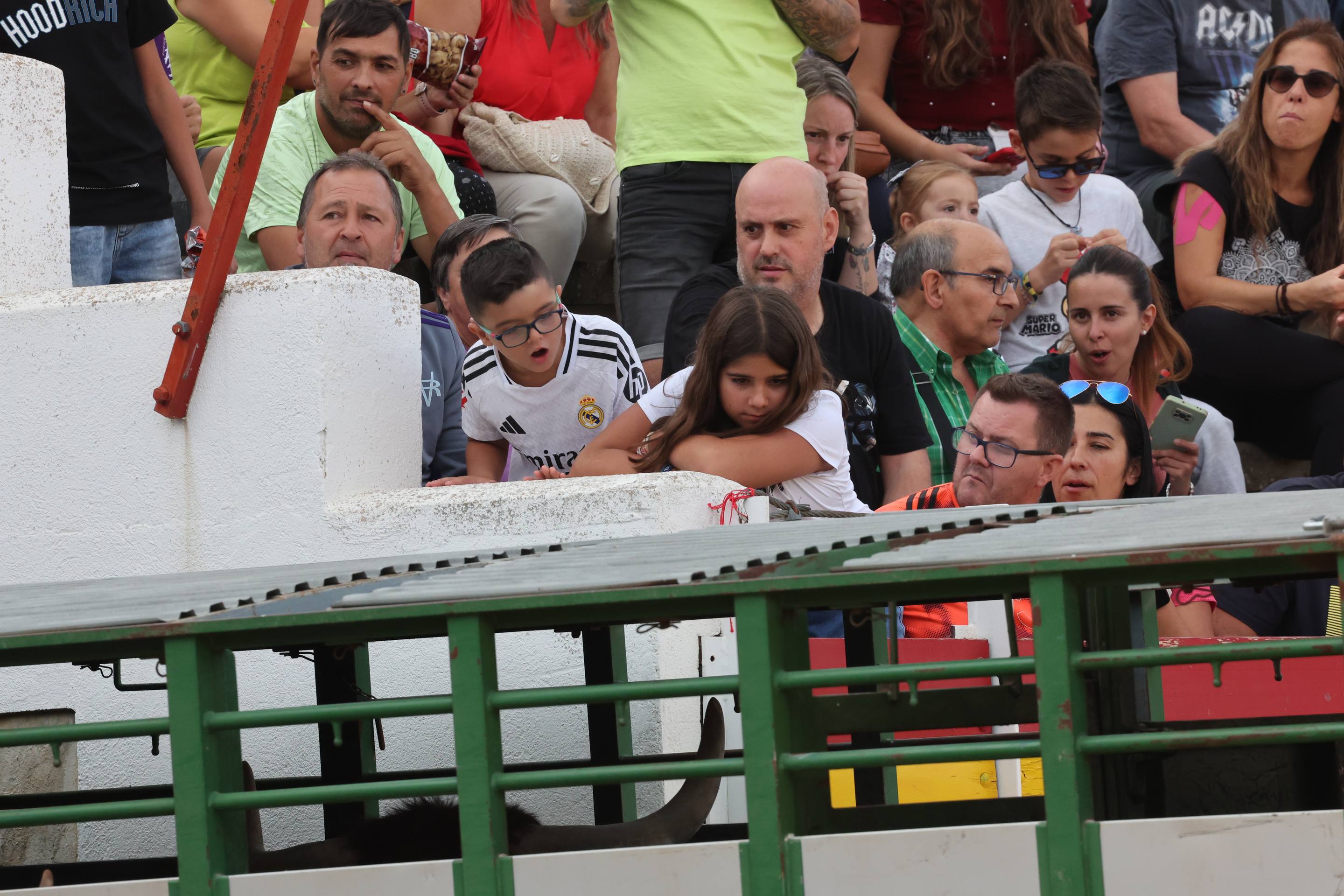 El encierro de bueyes y el desenjaule de novillos de Medina del Campo, en imágenes