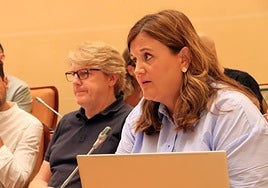 Clara Martín, durante un Pleno del Ayuntamiento de Segovia.