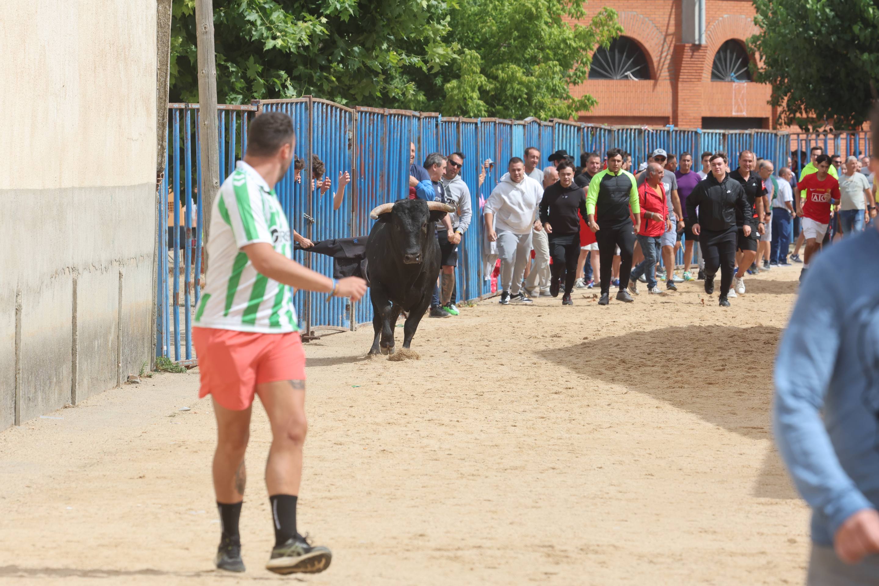 Las imágenes del encierro en Fresno el Viejo