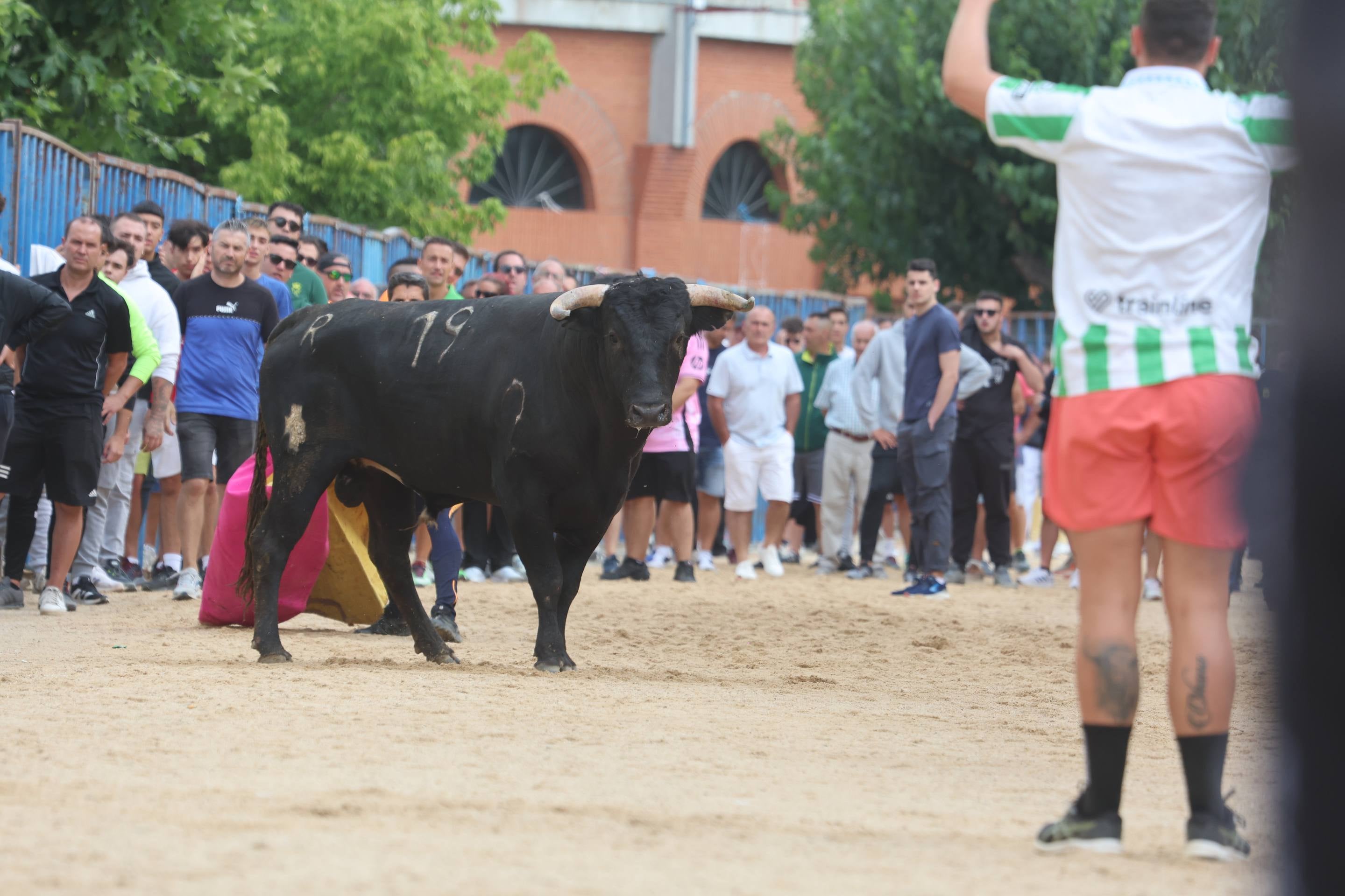 Las imágenes del encierro en Fresno el Viejo