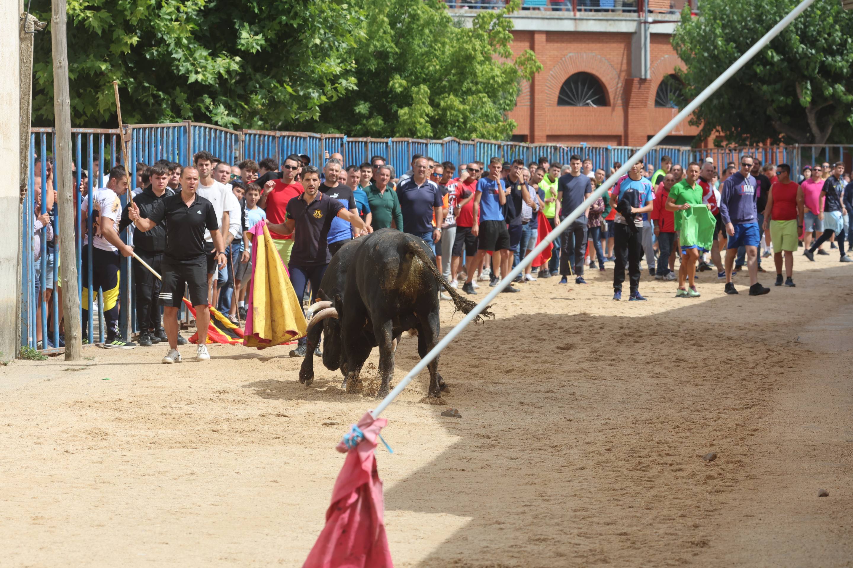Las imágenes del encierro en Fresno el Viejo