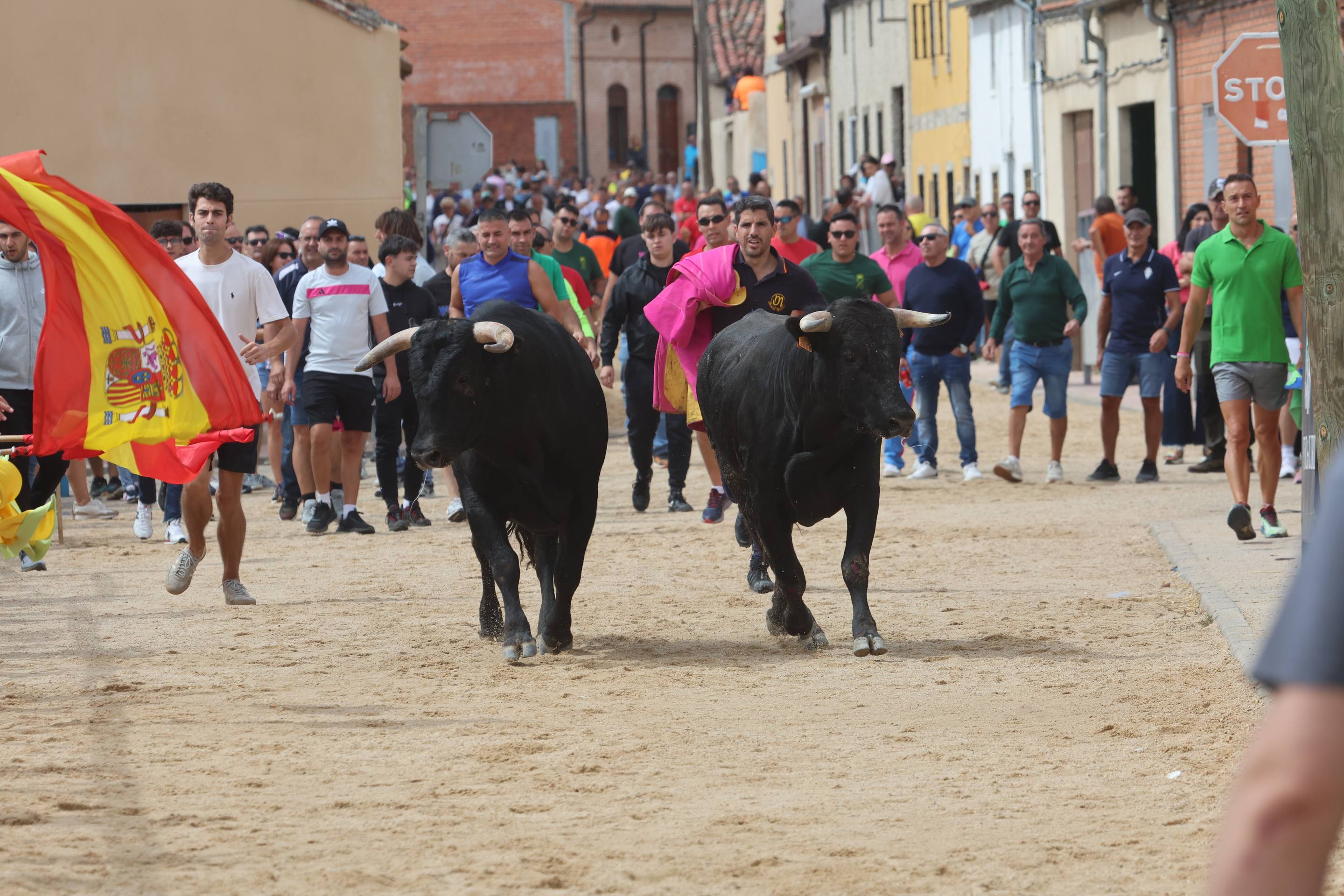 Las imágenes del encierro en Fresno el Viejo