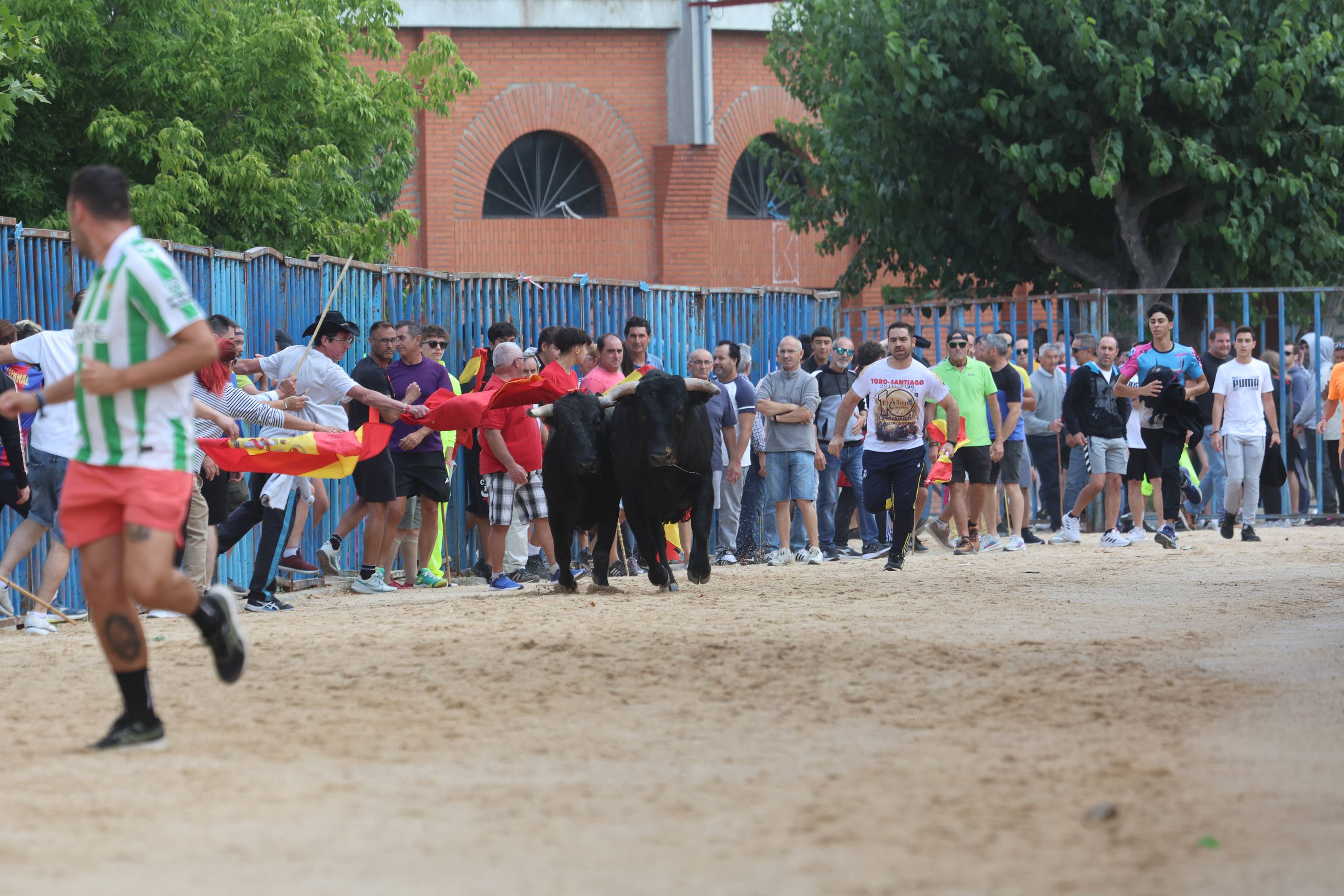 Las imágenes del encierro en Fresno el Viejo