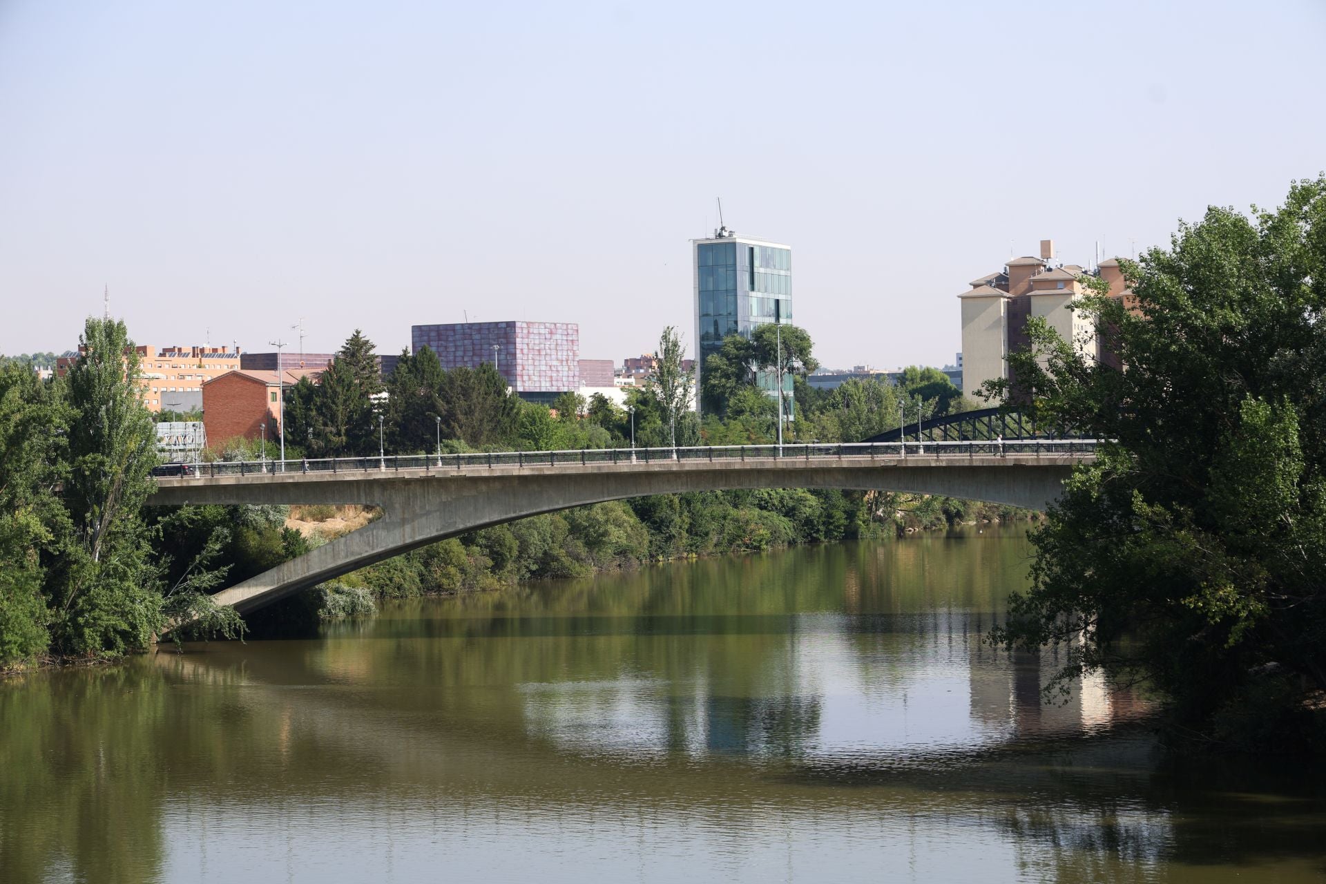 Las imágenes de las especies invasoras de el Pisuerga