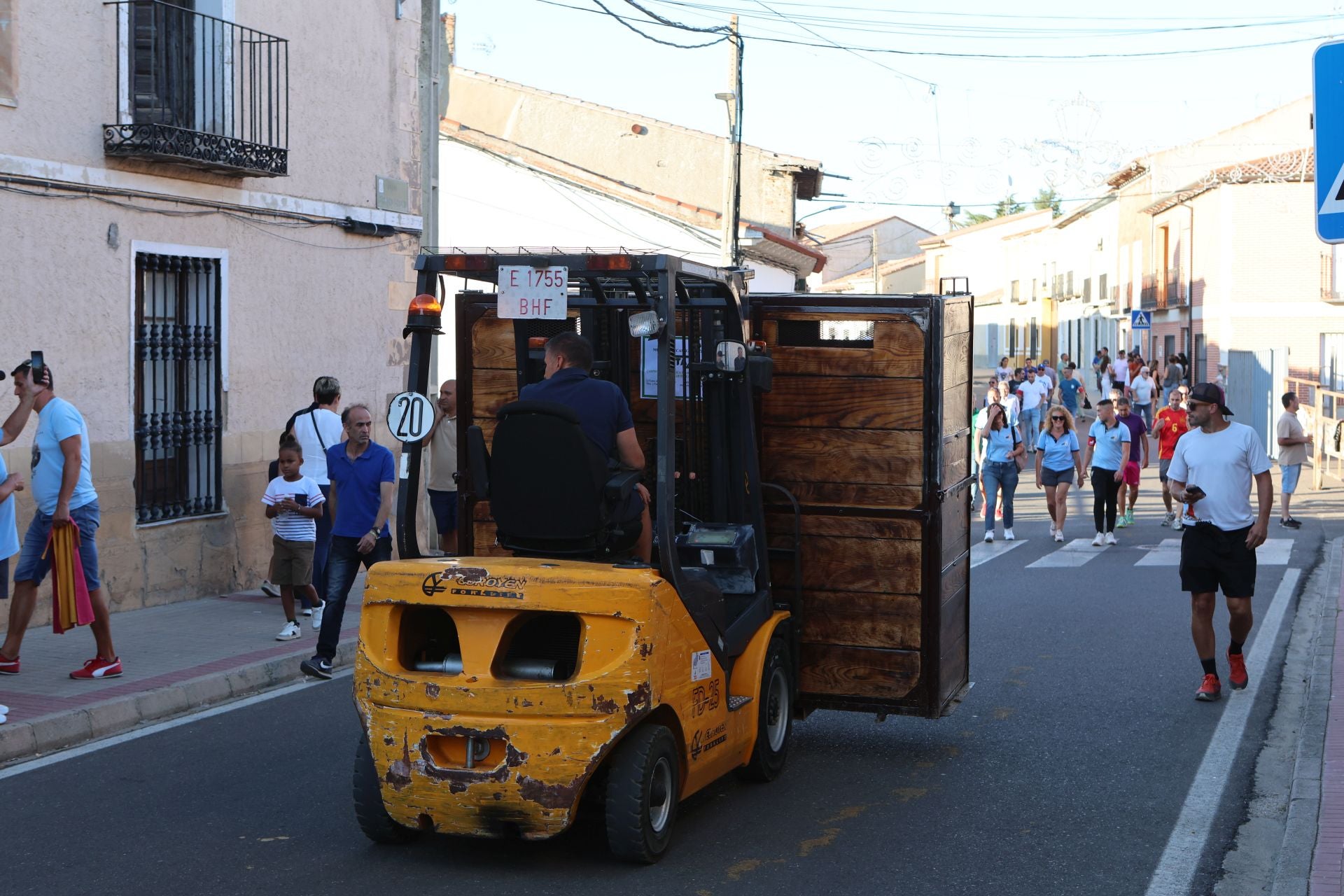 Las imágenes del Toro de la Nava