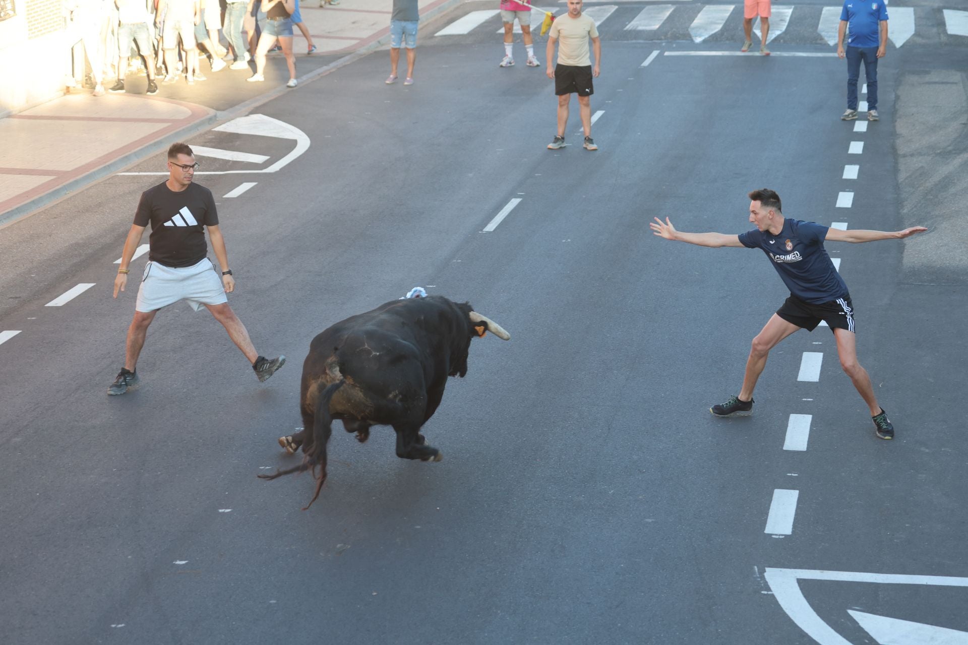 Las imágenes del Toro de la Nava