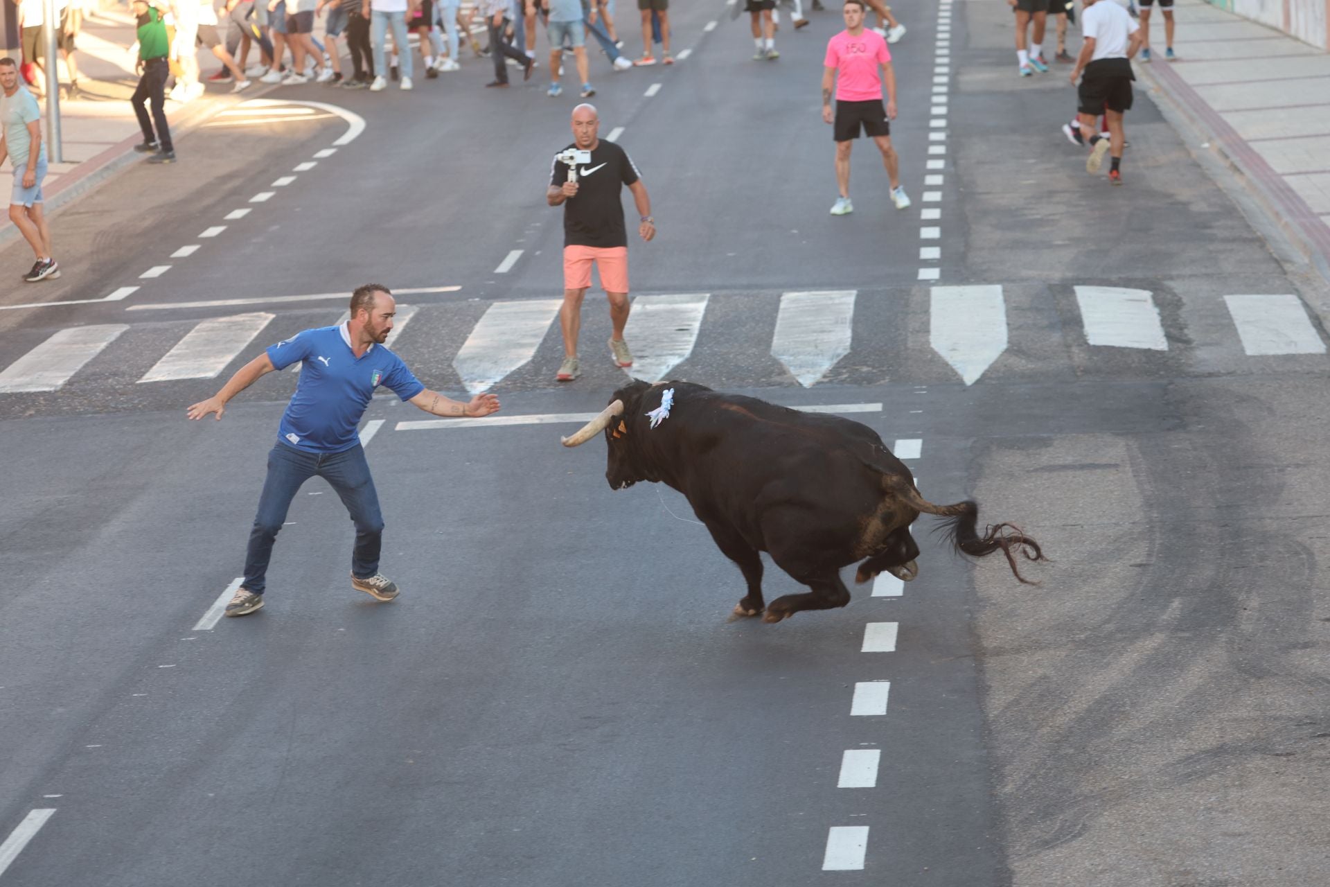 Las imágenes del Toro de la Nava