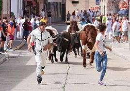 Varios corredores participan en el encierro de Pedrajas.