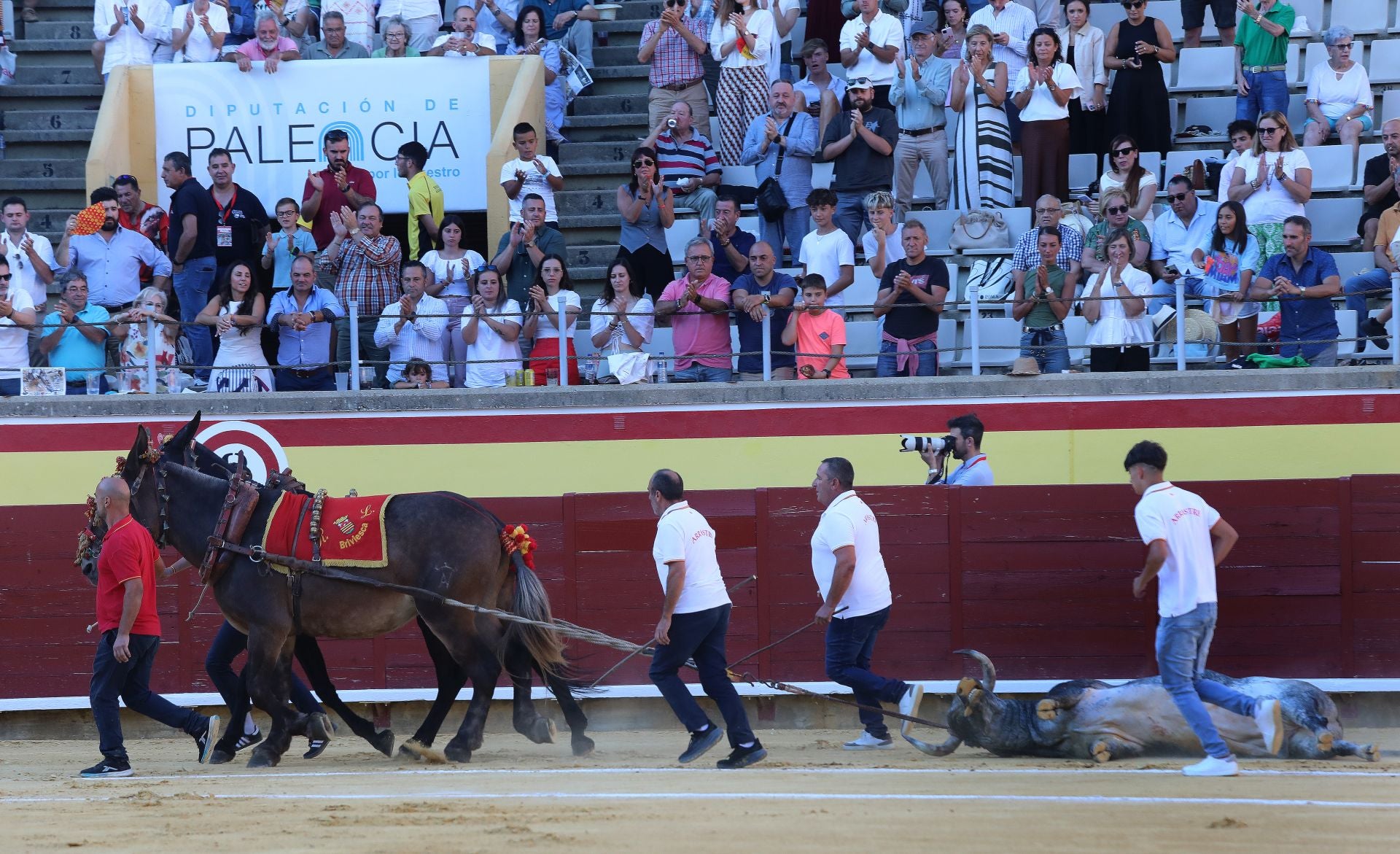 Primera corrida de abono en Palencia