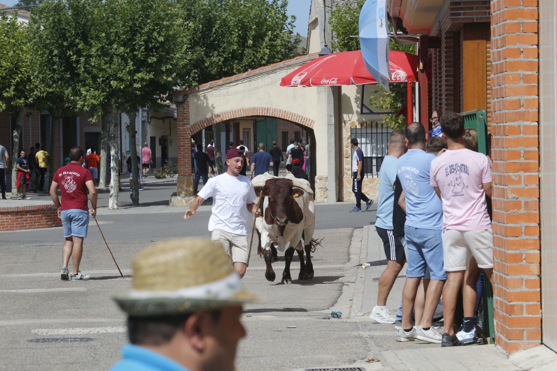 Encierro del sábado por la mañana en Ataquines