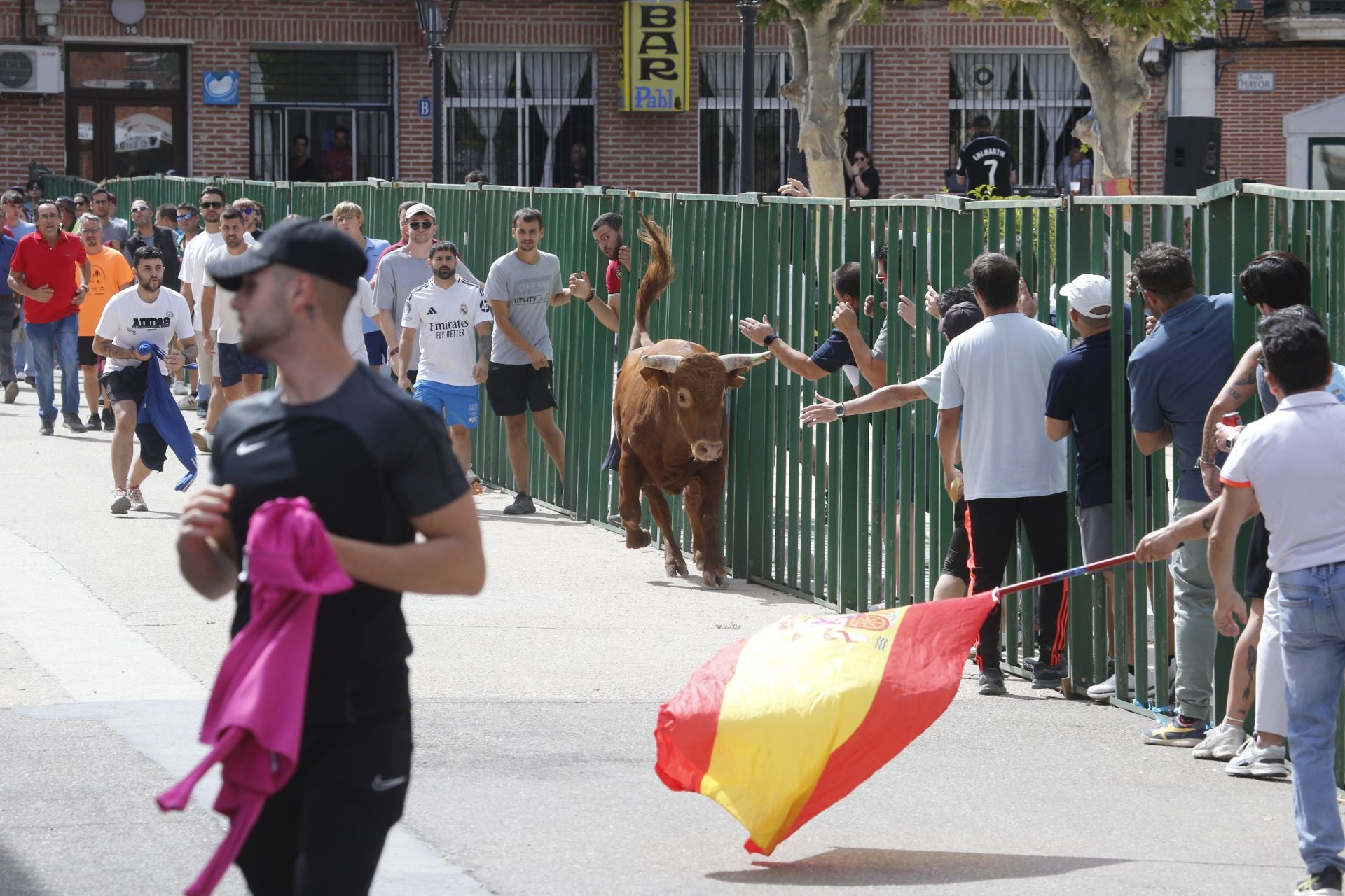 Encierro del sábado por la mañana en Ataquines