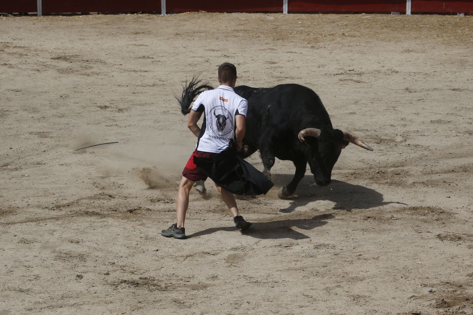 Encierro del sábado por la mañana en Ataquines