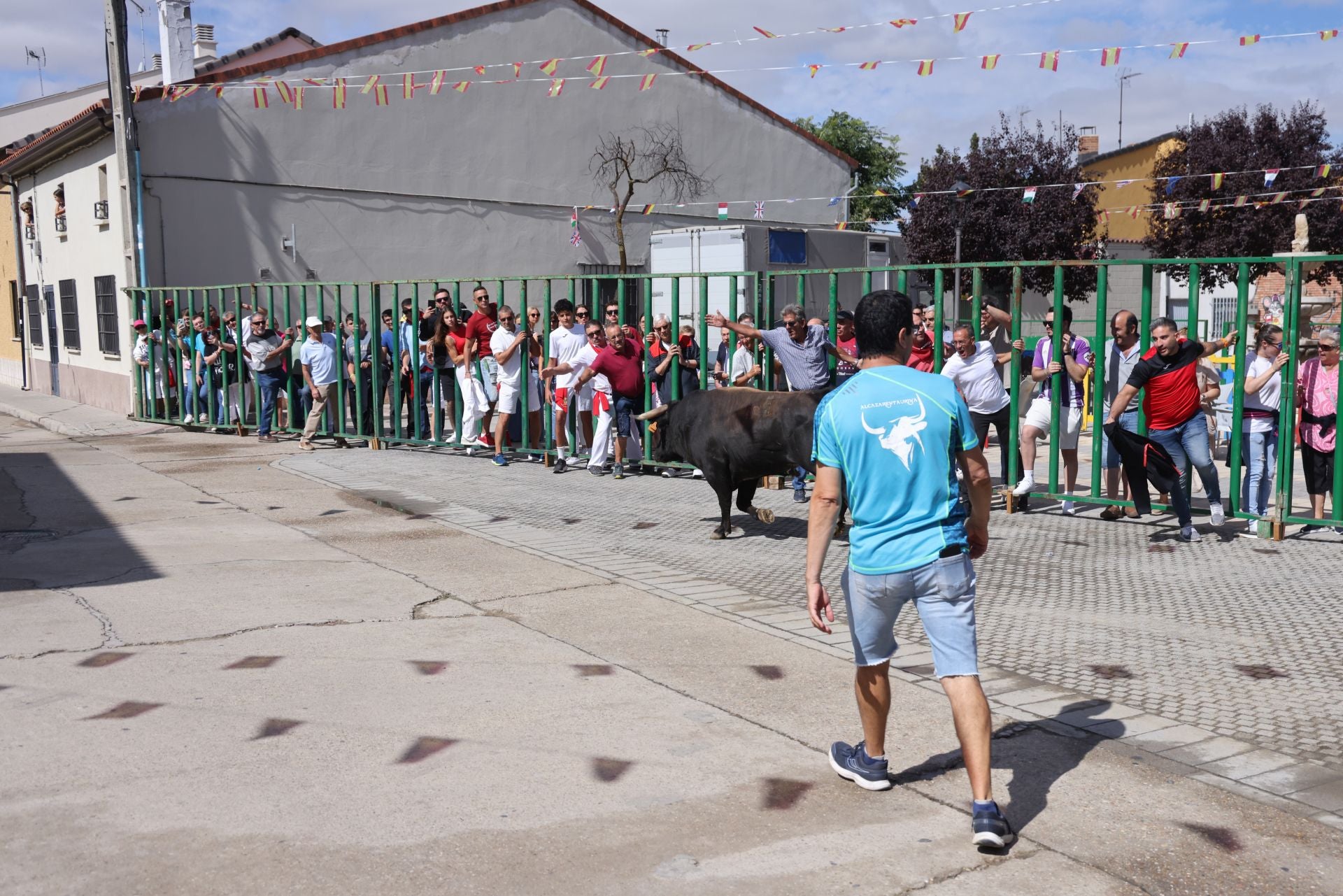 Encierro del sábado por la mañana en Pedrajas de San Esteban