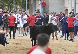 Unn momento del encierro que ha tenido lugar en Ataquines.