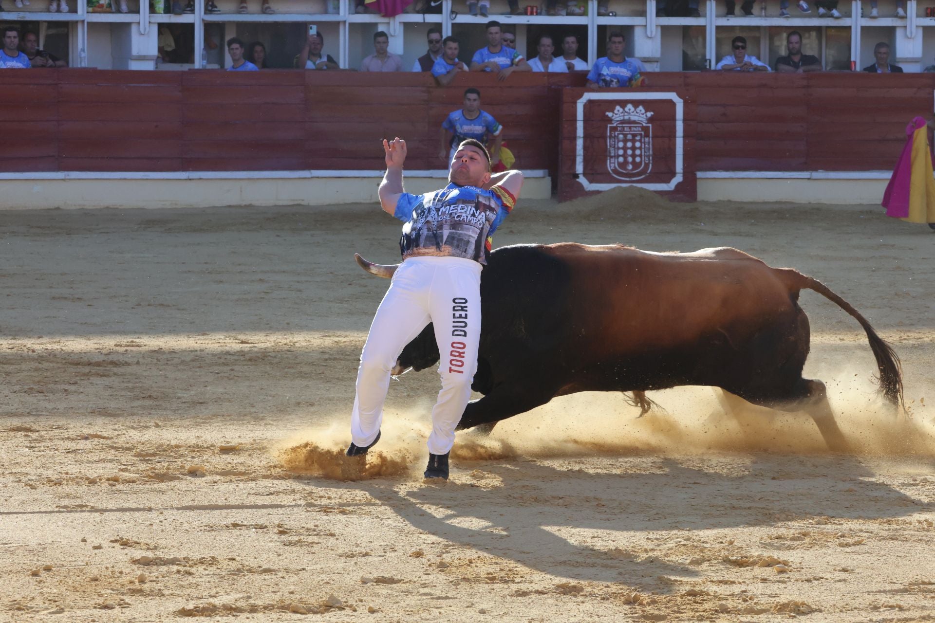 Las imágenes del concurso de cortes en Medina del Campo