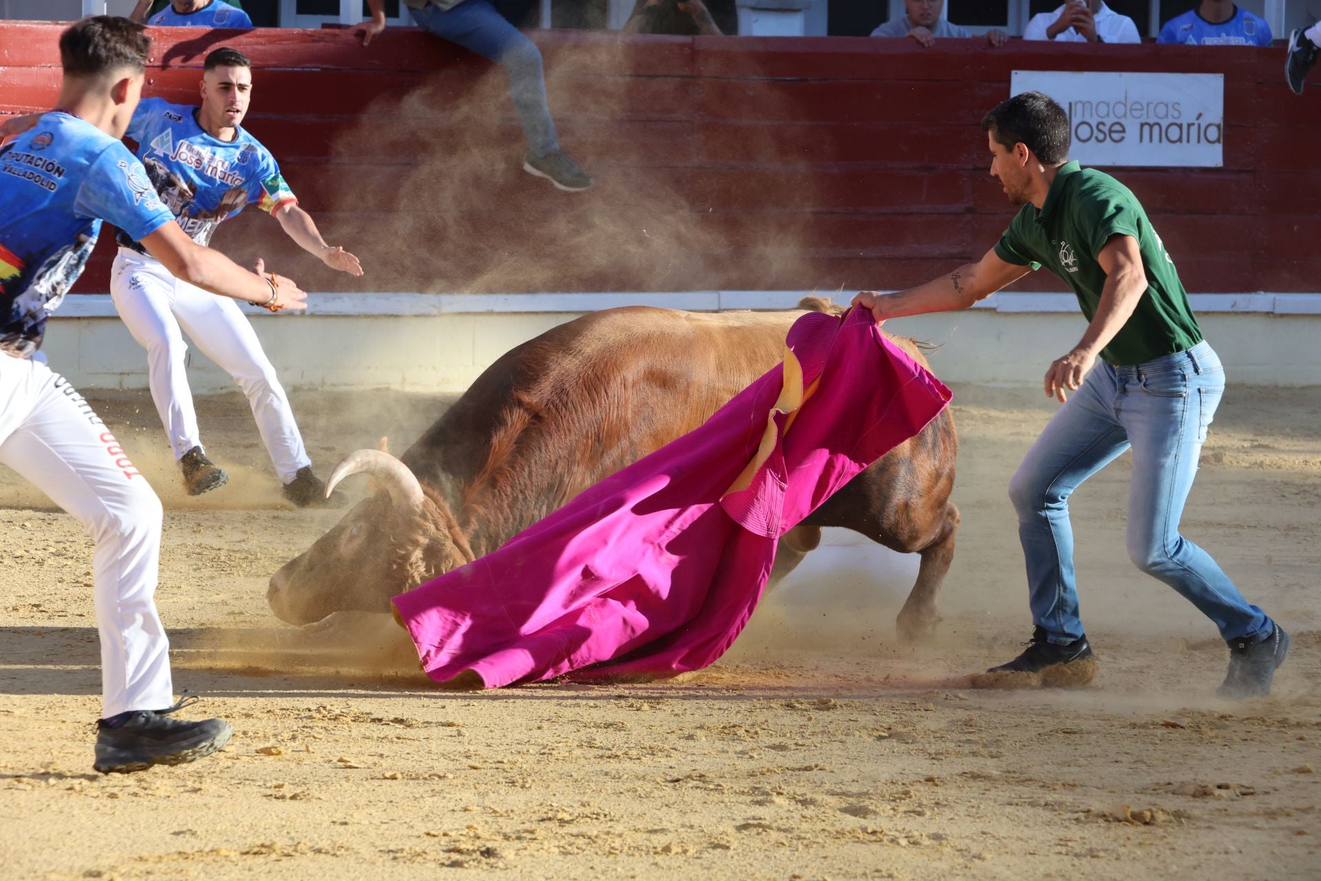 Las imágenes del concurso de cortes en Medina del Campo