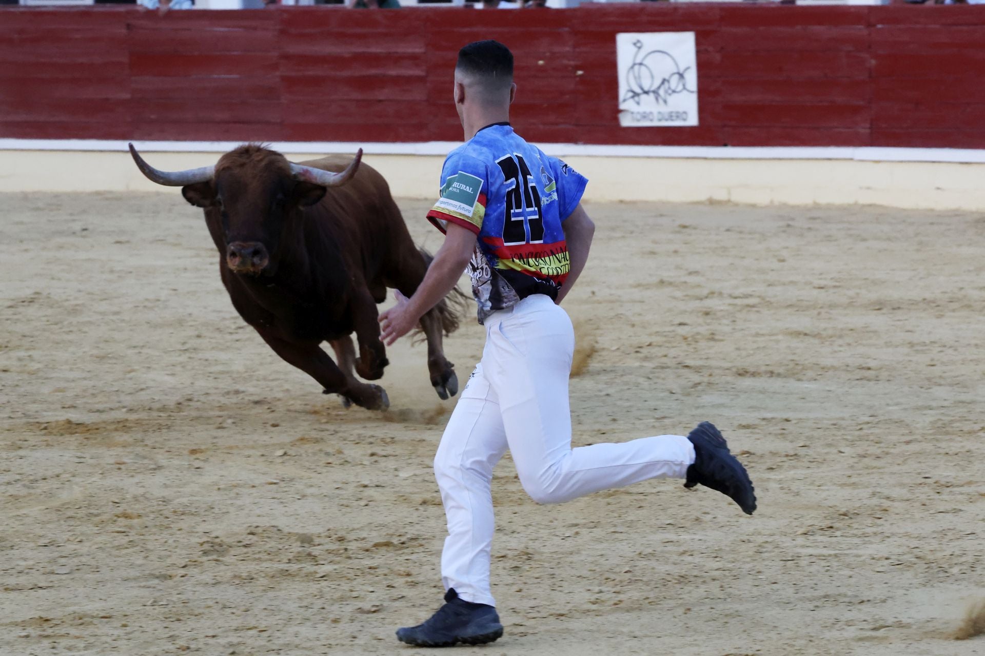 Las imágenes del concurso de cortes en Medina del Campo