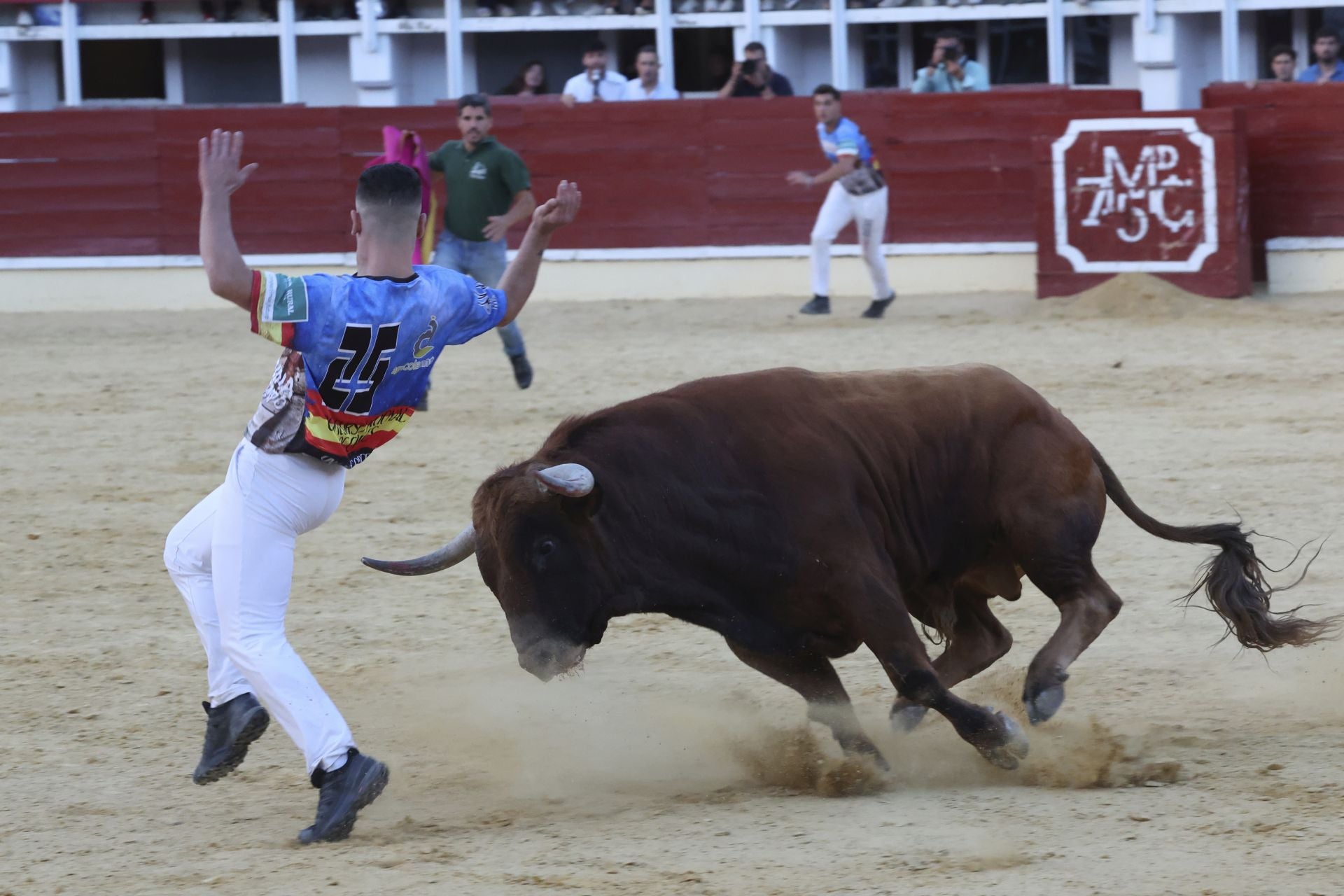 Las imágenes del concurso de cortes en Medina del Campo