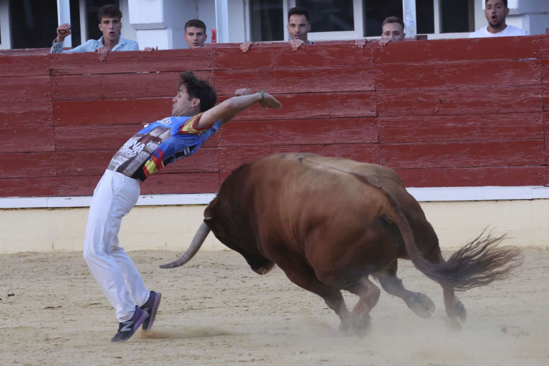 Las imágenes del concurso de cortes en Medina del Campo
