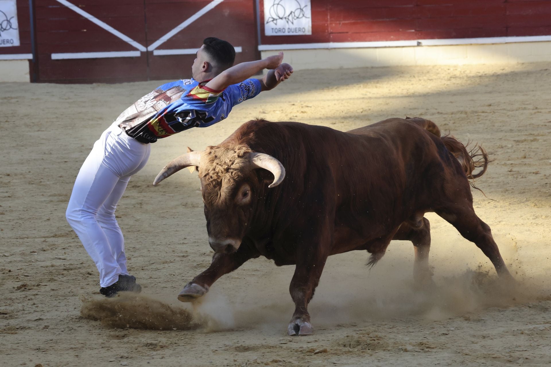 Las imágenes del concurso de cortes en Medina del Campo