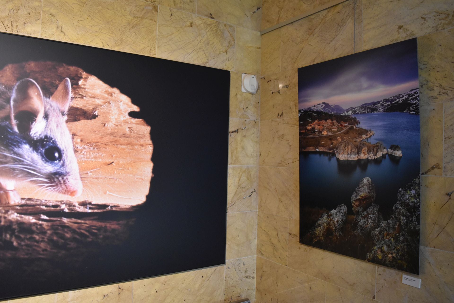 Así es la muestra &#039;Montaña Palentina&#039; del fotógrafo Juan Pixelecta