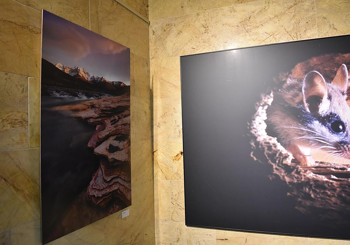 Así es la muestra &#039;Montaña Palentina&#039; del fotógrafo Juan Pixelecta