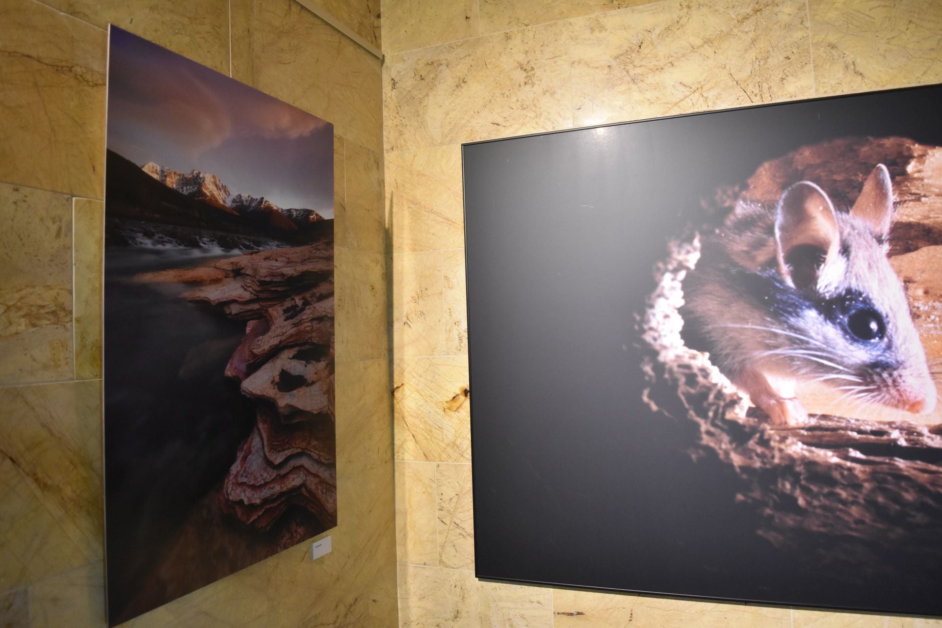 Así es la muestra &#039;Montaña Palentina&#039; del fotógrafo Juan Pixelecta