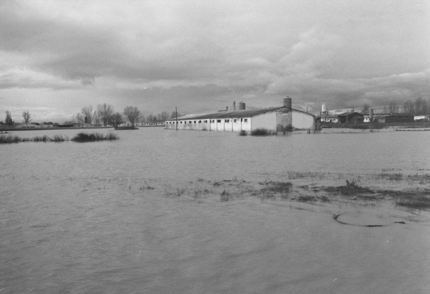 Crecida del río Cea en enero de 1996.