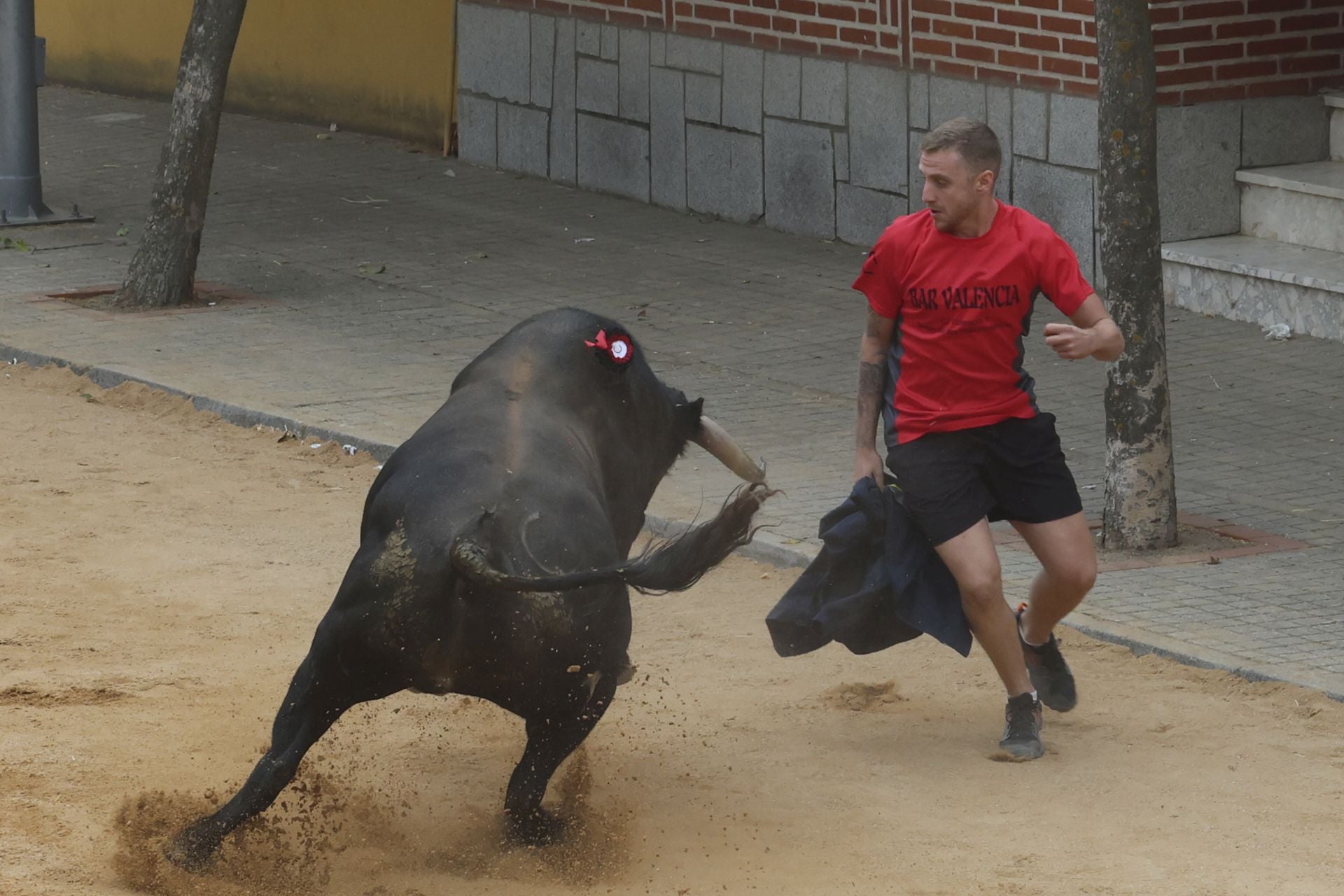 Encierro del domingo en Ataquines