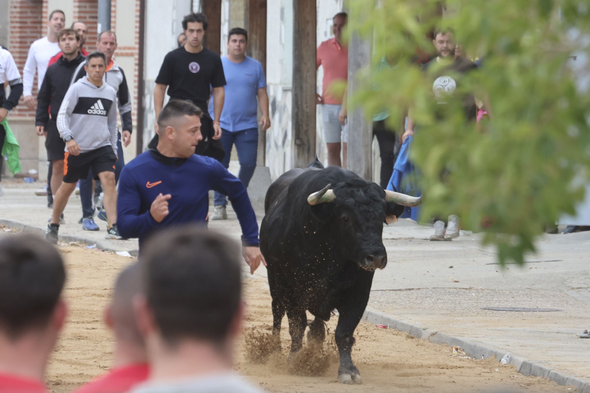 Encierro del domingo en Ataquines