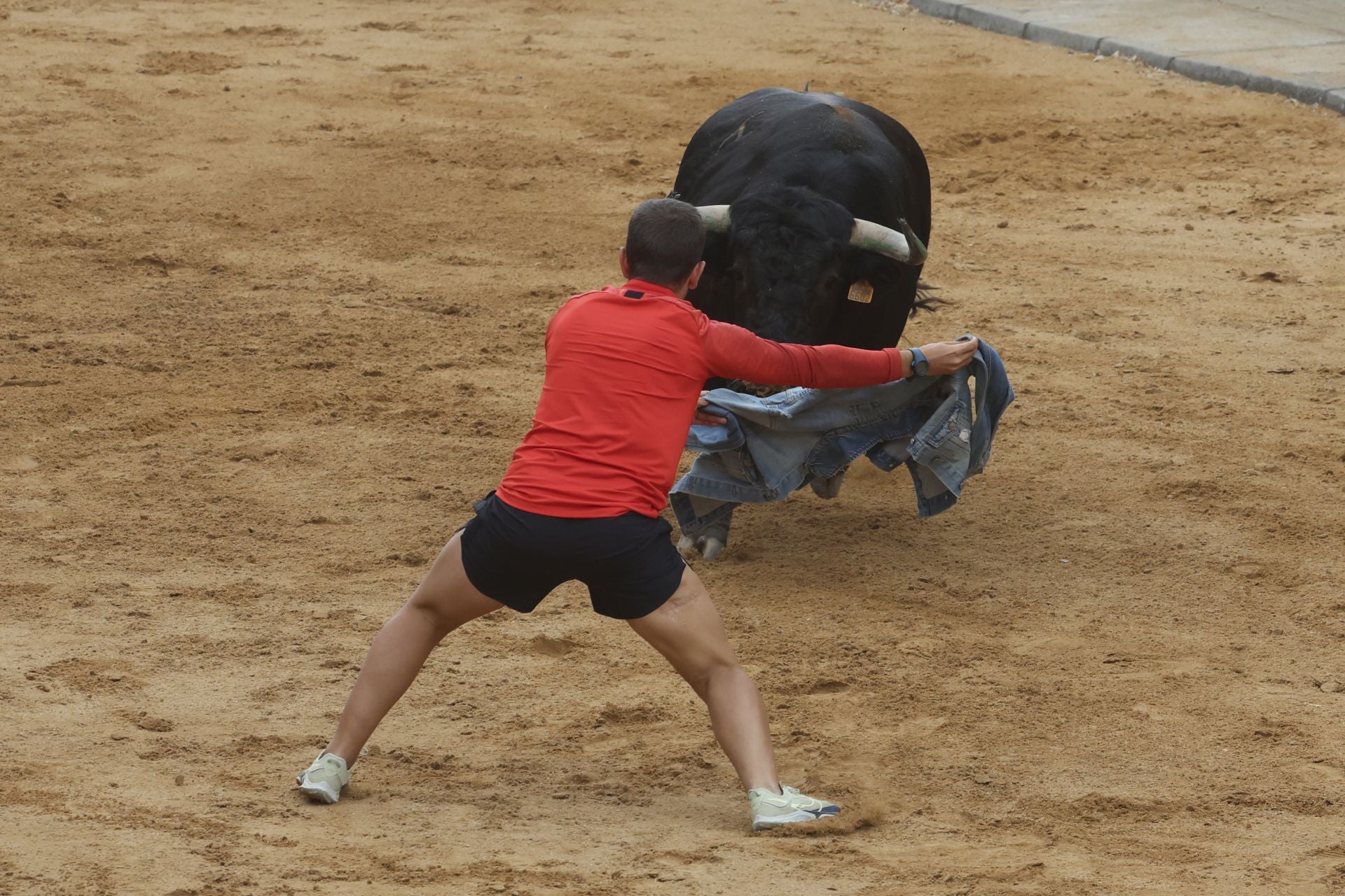 Encierro del domingo en Ataquines