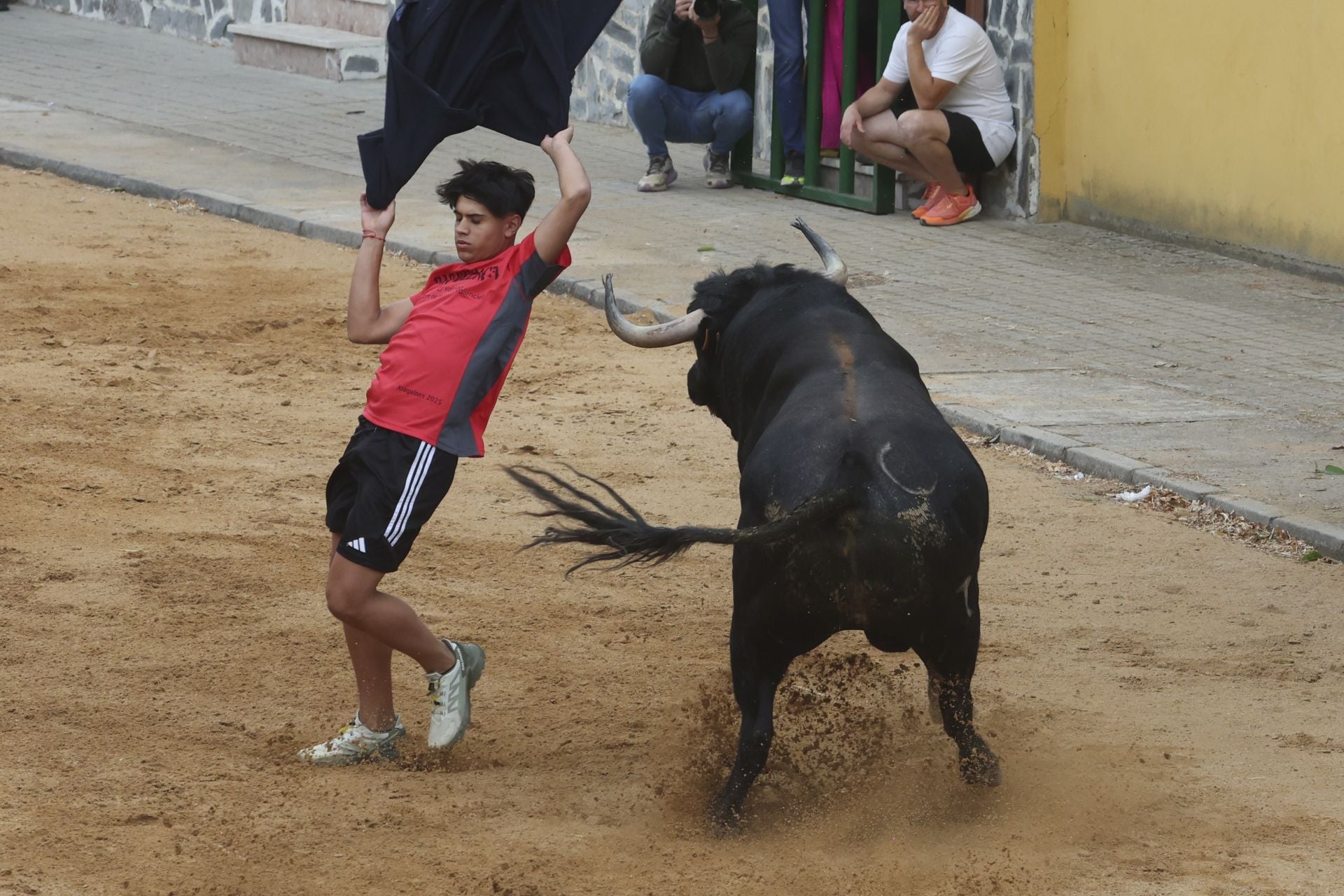 Encierro del domingo en Ataquines