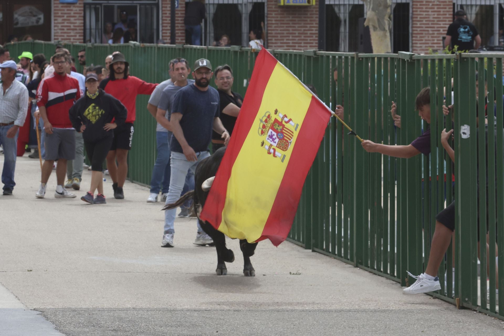 Encierro del domingo en Ataquines
