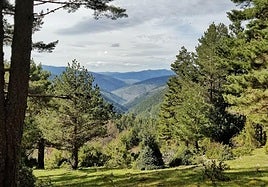 Imagen de un punto de un monte de Tierra de Pinares.